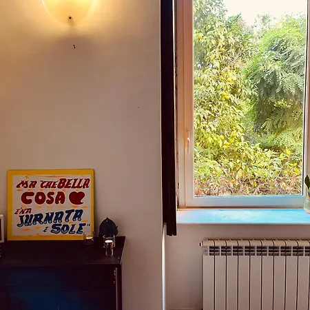 Barrio's Window * Naples